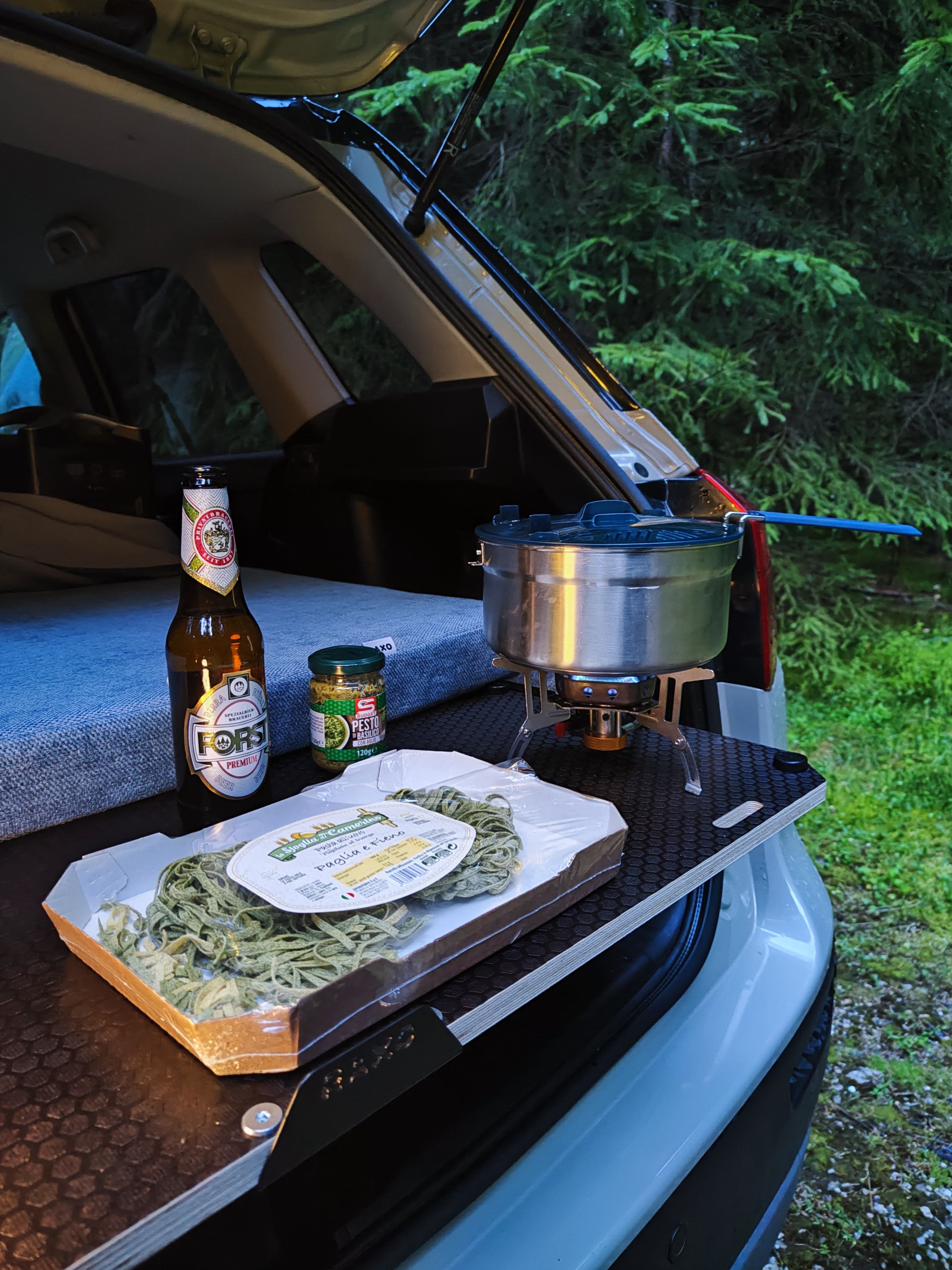 RAXO ESC BOX - Smart Campervan module for almost all cars
