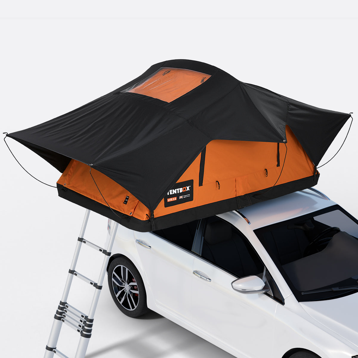 TentBox Lite 2.0 – Großpackung